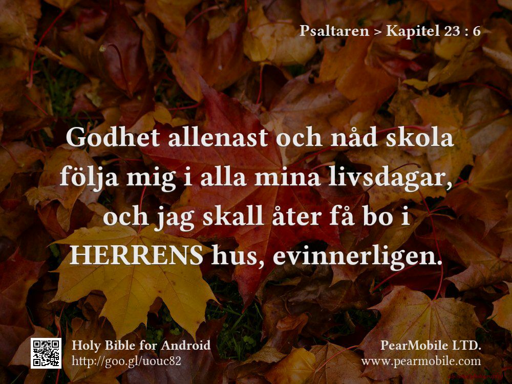 Psaltaren, Kapitel 23:6